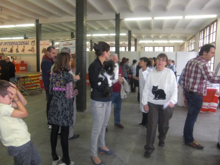 Esperando para la presentación de Aura